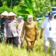 di 14 Provinsi, Jawa Timur Panen di 37 Kabupaten/Kota