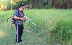 Wali Kota Probolinggo, tiba-tiba muncul sambil berlari santai dari arah rumah dinasnya langsung bersih-bersih area stadion Bayuangga
