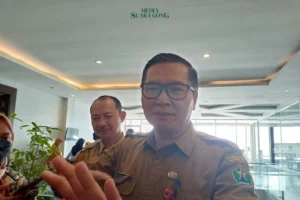 Awal 2025, Kasus DBD di Kota Malang Meningkat