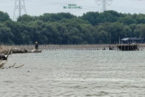 Polisi Resmi Tetapkan 9 Tersangka Kasus Pagar Laut Bekasi