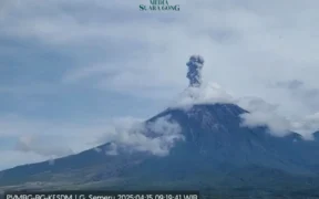 Gunung Semeru Meletus: Kolom Abu Vulkanik Capai 1.000 Meter