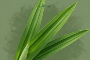 8 Penyakit Ini Bisa Sembuh Pakai Daun Pandan, Termasuk Diabetes!