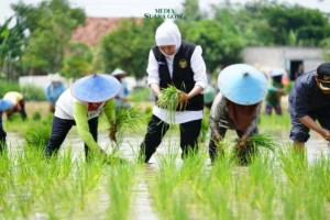 Gubernur Khofifah: Komitmen Wujudkan Kedaulatan Pangan di Jawa Timur