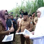 Bupati Malang M. Sanusi saat mendampingi Gubernur Jawa Timur Khofifah Indar Parawansa dalam peninjauan lokasi di bantur, kabupaten malang, Senin (28/4/2025).