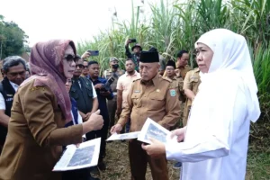 Sekolah Rakyat Segera Dibangun di Malang Selatan di Bantur