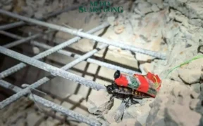 Singapura kerahkan kecoa cyborg untuk mencari korban gempa Myanmar (Sumber: HTXSG Facebook)