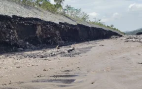 Warga Lumajang Bersatu Hadapi Ancaman Erosi Tanggul Akibat Lahar Dingin Semeru