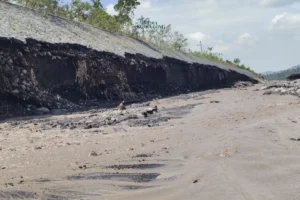 Warga Lumajang Bersatu Hadapi Ancaman Erosi Tanggul Akibat Lahar Dingin Semeru