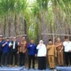 Gubernur Khofifah Luncurkan KUR Khusus Petani Tebu Jatim