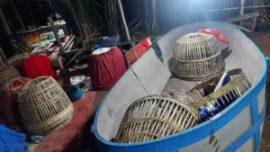 Jajaran Kepolisian Resor (Polres) Malang menggerebek arena judi sabung ayam yang berlokasi di Dusun Kubung, Desa Ngenep, Kecamatan Karangploso, Kabupaten Malang, Minggu (25/5/2025) sore