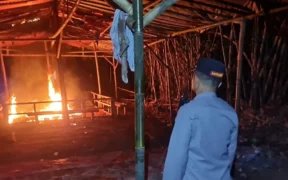 Jajaran Kepolisian Resor (Polres) Malang menggerebek arena judi sabung ayam yang berlokasi di Dusun Kubung, Desa Ngenep, Kecamatan Karangploso, Kabupaten Malang, Minggu (25/5/2025) sore