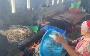 Industri Tahu di Jawa Timur Bakar Sampah Plastik Impor, Picu Kekhawatiran Kesehatan
