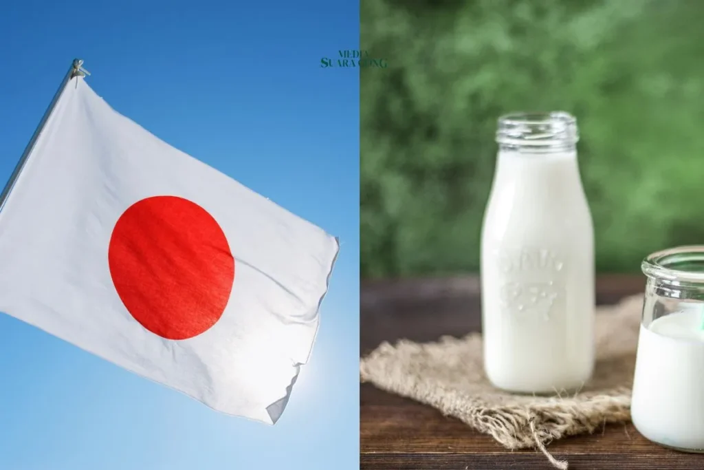 Jepang Desak Indonesia Cabut Larangan Ekspor Susu dan Pastikan Daging Sapi Stabil
