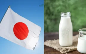 Jepang Desak Indonesia Cabut Larangan Ekspor Susu dan Pastikan Daging Sapi Stabil
