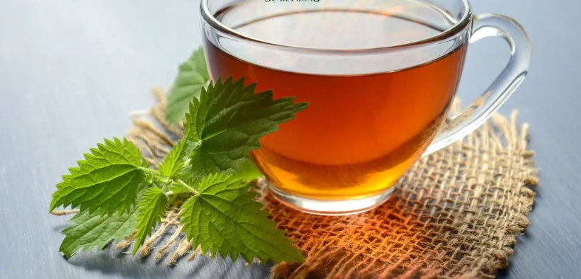 Mengapa Minum Teh Setelah Makan Tidak Dianjurkan Ini Penjelasannya