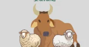 Perhatikan beberapa hal berikut sebelum membeli hewan kurban (Ilustrasi oleh: Galih)