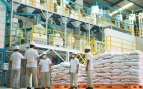 RI Bangun 25.000 Gudang Darurat Tampung Beras, Stok CBP Tembus 3,6 Juta Ton