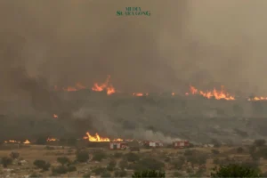 Bantuan Internasional Mengalir, Kebakaran Hutan Besar di Israel Mulai Terkendali