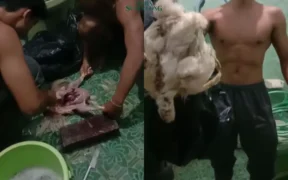 Sejumlah Atlet Kabupaten Malang Terpaksa Makan Ayam Tiren Karena Terbatas Anggaran