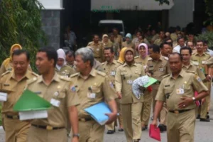Batas Usia Pensiun PNS Diusulkan Naik Hingga 70 Tahun