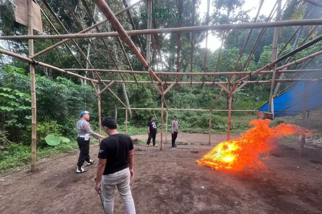 Polisi Bongkar Arena Sabung Ayam di Gedangan, Kabupaten Malang