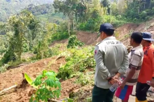 BPBD Jatim Tanggap Darurat Longsor Trenggalek