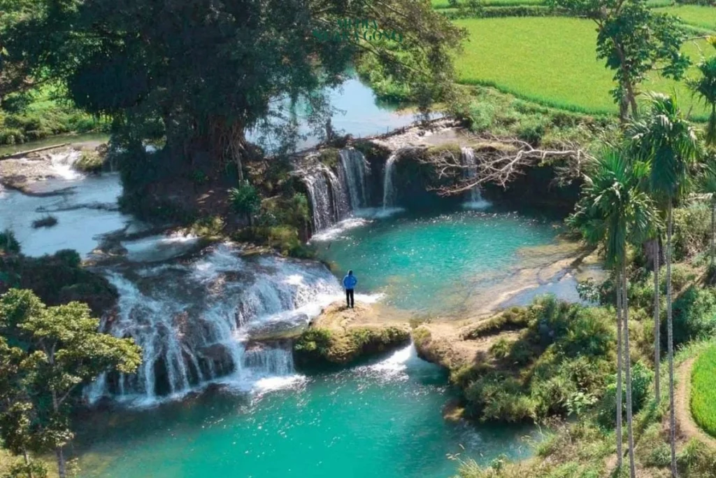 Weekacura Waterfall, air terjun unik yang mengalir tenang di tengah hamparan sawah hijau sumba Barat Daya.
