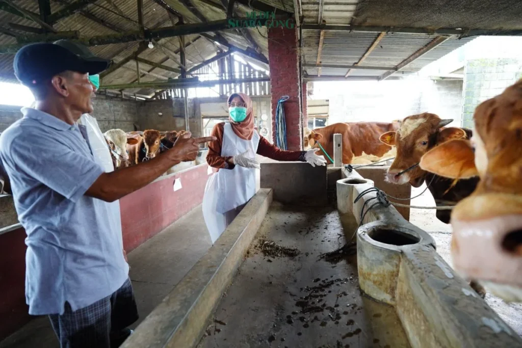 Jelang Idul Adha, Bupati Kediri Pantau Kesehatan Hewan Kurban