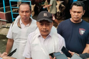 Sapi Kurban Presiden Prabowo untuk Jombang Ditetapkan: Harga Rp 86 Juta