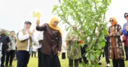 Tanam Pohon Maja di IKN Kalimantan Timur, Senin (12/5/2025), Gubernur Khofifah Tegaskan Peran Jawa Timur Sebagai Gerbang Baru Nusantara