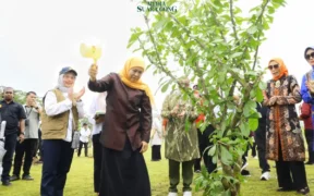 Tanam Pohon Maja di IKN Kalimantan Timur, Senin (12/5/2025), Gubernur Khofifah Tegaskan Peran Jawa Timur Sebagai Gerbang Baru Nusantara