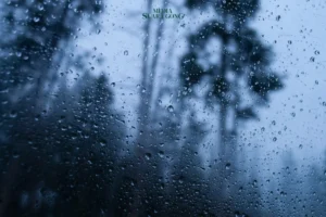 Fenomena Kemarau Basah Melanda Indonesia, Sampai Kapan?