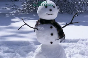 Apakah Benar Indonesia Akan Turun Salju 2026