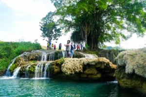 Weekacura Waterfall ditengah Sawah Hijau Sumba