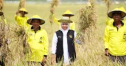 Dari data BPS per 2 Juni 2025, potensi produksi padi Jatim pada periode Januari–Juli 2025 diperkirakan mencapai 8.784.027 ton