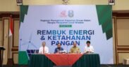 rembukan energi ketahanan pangan dan isu ketahanan pangan indonesia