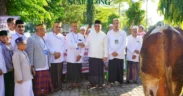 Presiden Serahkan Sapi Kurban Ke Probolinggo