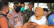 Menjelang Hari Raya Idul Adha 1446 Hijriah, Pemerintah Kabupaten (Pemkab) Lamongan melalui Dinas Peternakan dan Kesehatan Hewan bergerak cepat memastikan kesehatan hewan kurban