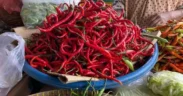 Menjelang perayaan Idul Adha 2025, harga cabai merah dan cabai rawit di Kota Malang mengalami kenaikan sejak awal Juni.