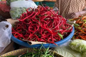 Harga Cabai di Kota Malang Naik Mendekati Idul Adha