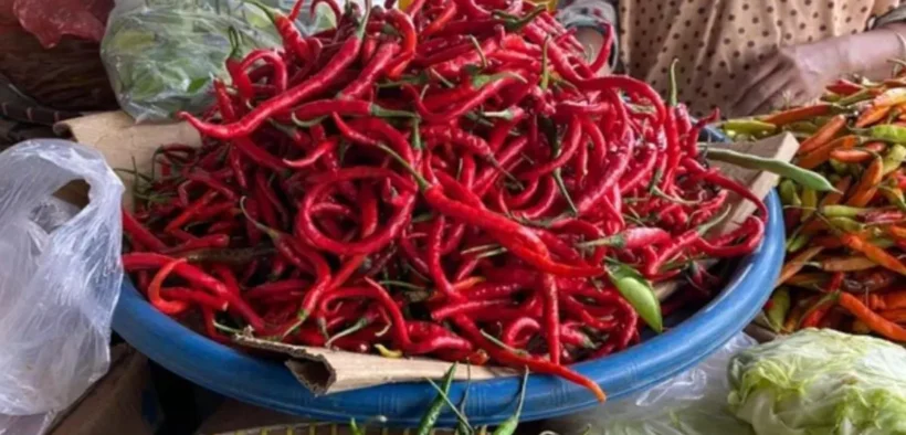 Menjelang perayaan Idul Adha 2025, harga cabai merah dan cabai rawit di Kota Malang mengalami kenaikan sejak awal Juni.