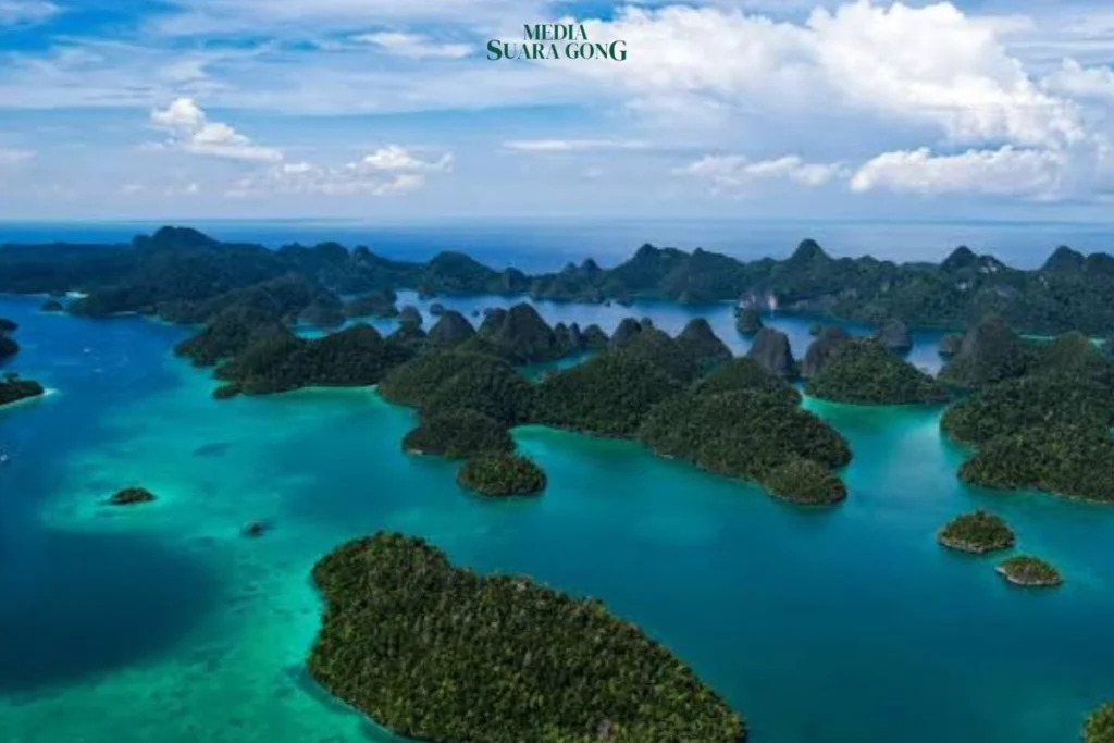 Bahlil: Izin Tambang Nikel di Raja Ampat Terbit Sebelum