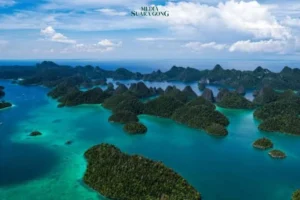 Bahlil: Izin Tambang Nikel di Raja Ampat Terbit Sebelum