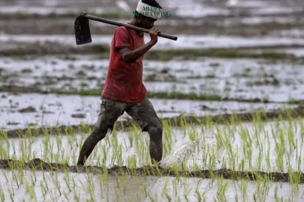 Terdampak Perubahan Iklim di india, 3.090 Petani Bunuh Diri