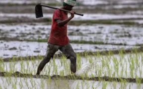 Petani di India Bunuh Diri Karena gagal panen akibat Perubahan Iklim