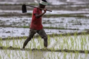 Terdampak Perubahan Iklim di india, 3.090 Petani Bunuh Diri