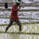 Petani di India Bunuh Diri Karena gagal panen akibat Perubahan Iklim