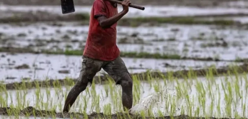 Petani di India Bunuh Diri Karena gagal panen akibat Perubahan Iklim
