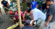 PKB Jawa Timur bersama seluruh Dewan Pimpinan Cabang (DPC) PKB kabupaten/kota se-Jatim menyalurkan lebih dari 1.000 ekor hewan kurban.