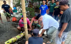 PKB Jawa Timur bersama seluruh Dewan Pimpinan Cabang (DPC) PKB kabupaten/kota se-Jatim menyalurkan lebih dari 1.000 ekor hewan kurban.